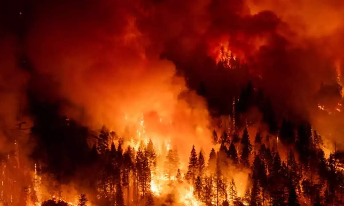 Climate Crisis Deepens As 2024 Breaks Global Heat Records