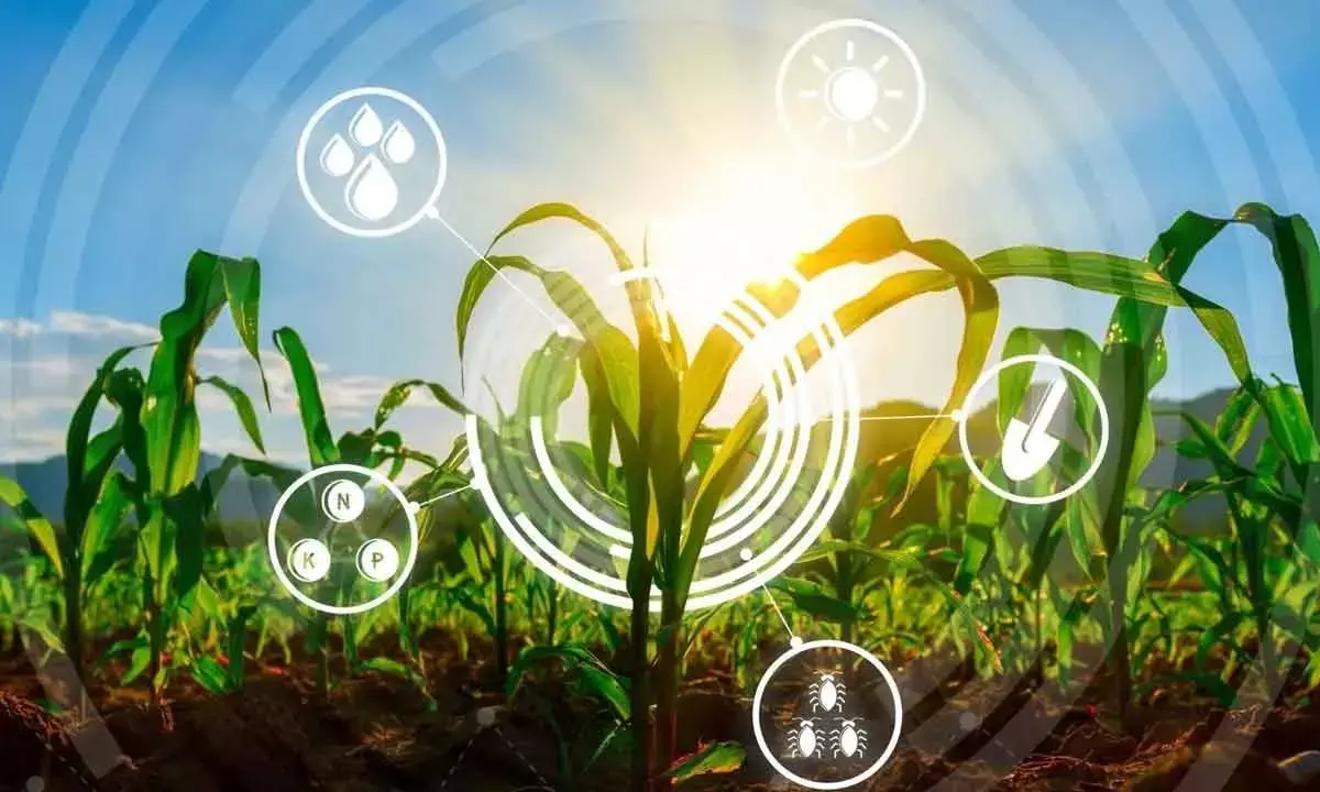 A Sustainable Food Industry Is The Need Of The Hour