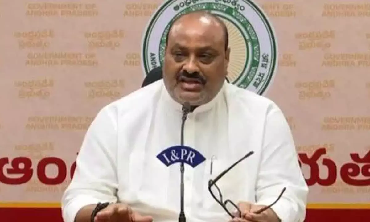 AP Minister Allays Fears Over Bird Flu