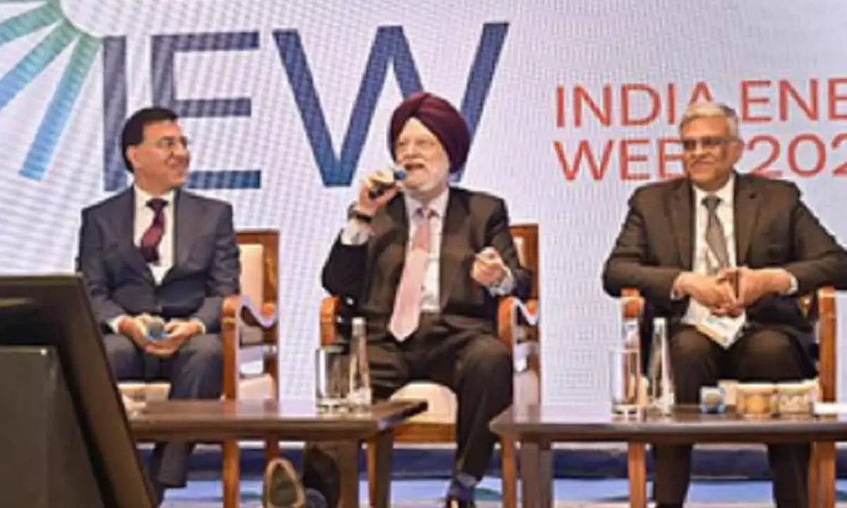 India Signs Multiple Pacts For The Sustainable Energy Future