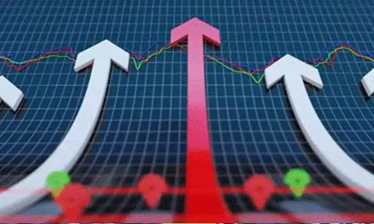 From Rs 5 to Rs 55 & back: What really happened with Spright Agro?