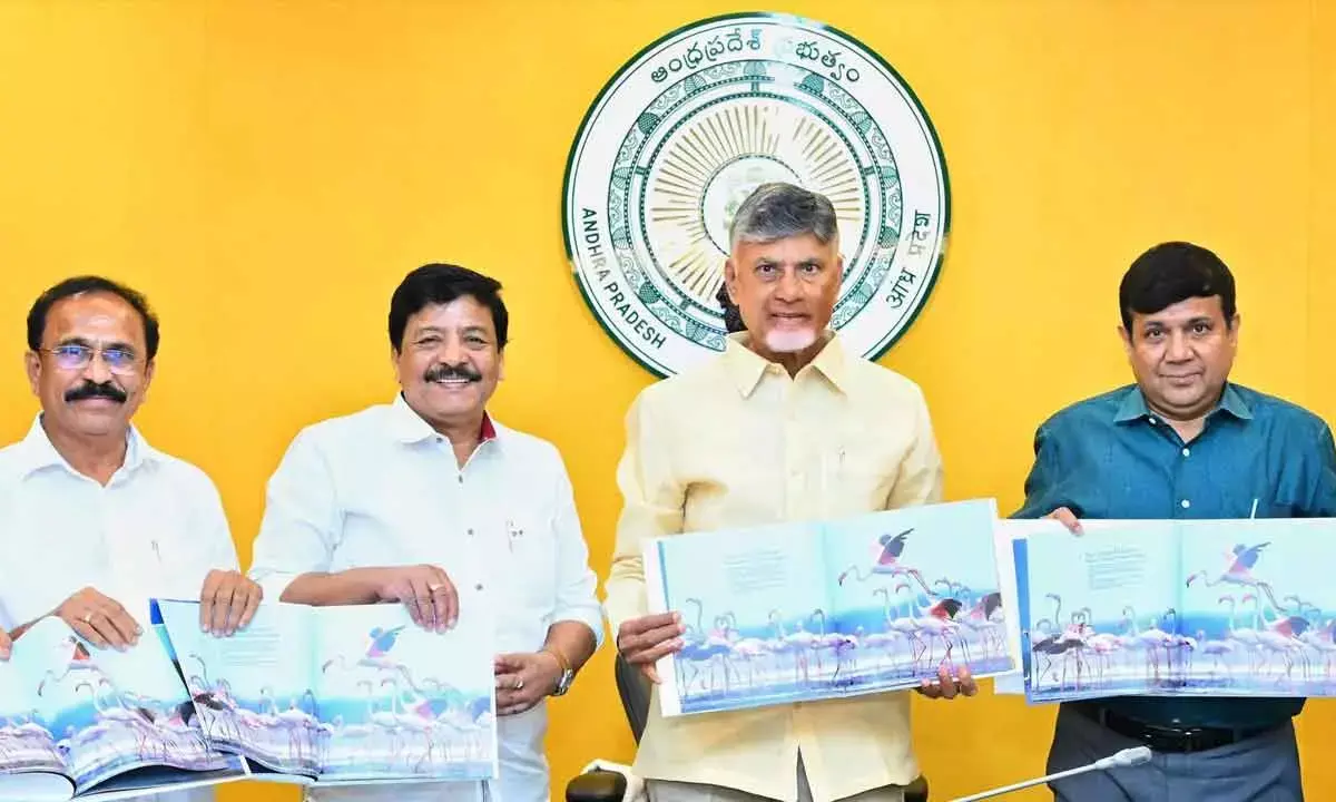 AP to spend big to promote tourism on a grand scale