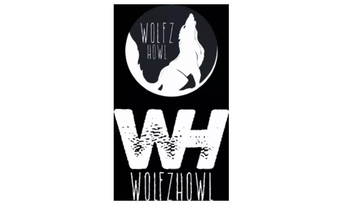 Wolfzhowl Unveils Film Marketing Strategy Div