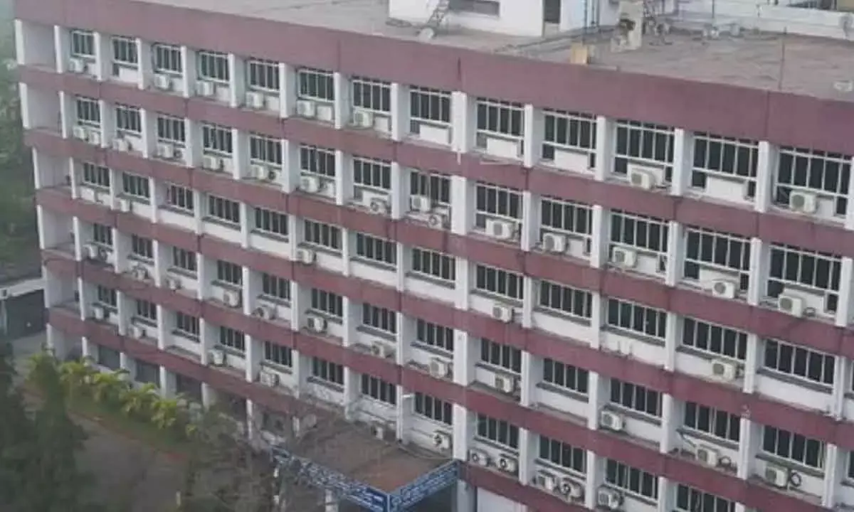 Vizag Custom House Nets Revenue Of Rs 11,198 Cr In 10 Months