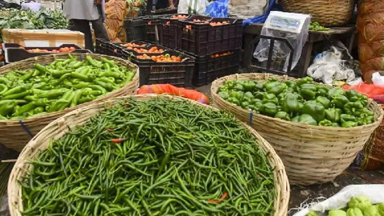 Steps To Stabilise Vegetable, Chilli Prices: AP CS Steps To Stabilise Vegetable, Chilli Prices: AP CS