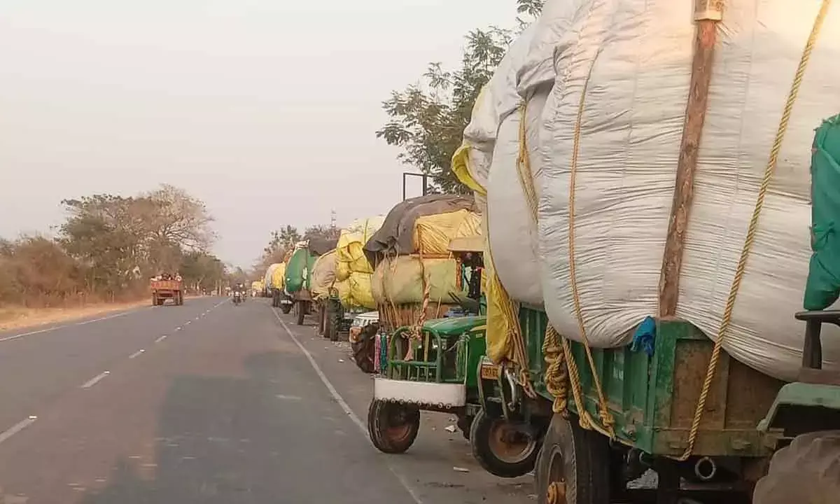 Telangana Farmers In Soup As CCI Stops Buying Cotton