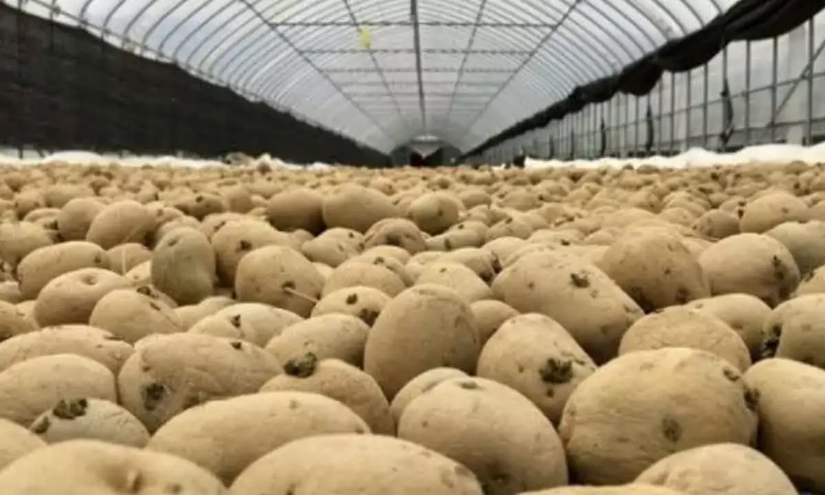 Bengal Reserves 30% Of Cold  Storage Space For Farmers