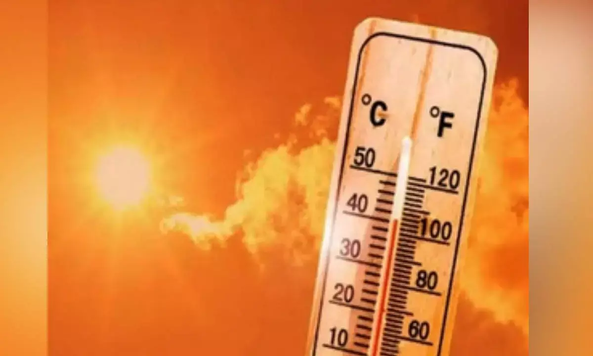 Cities at highest risk as climate change increases heatwave mortality: Study