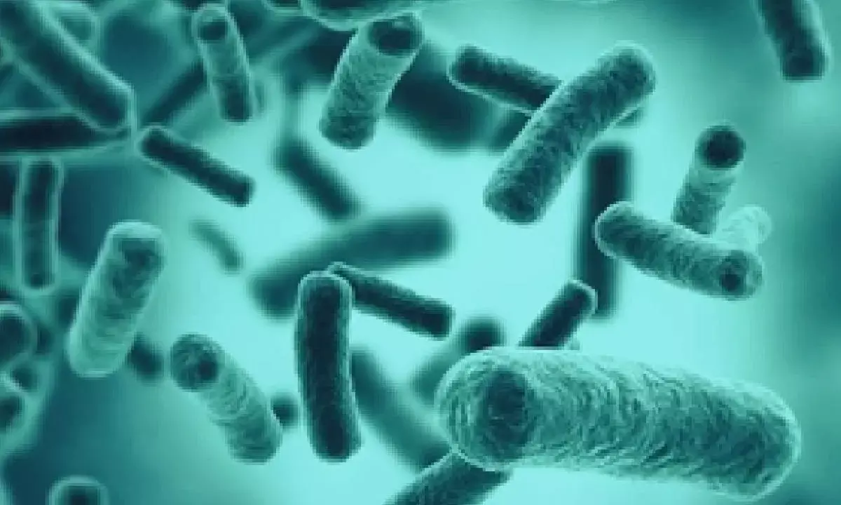 Swimming in lakes with still waters can cause bacterial pneumonia: Study