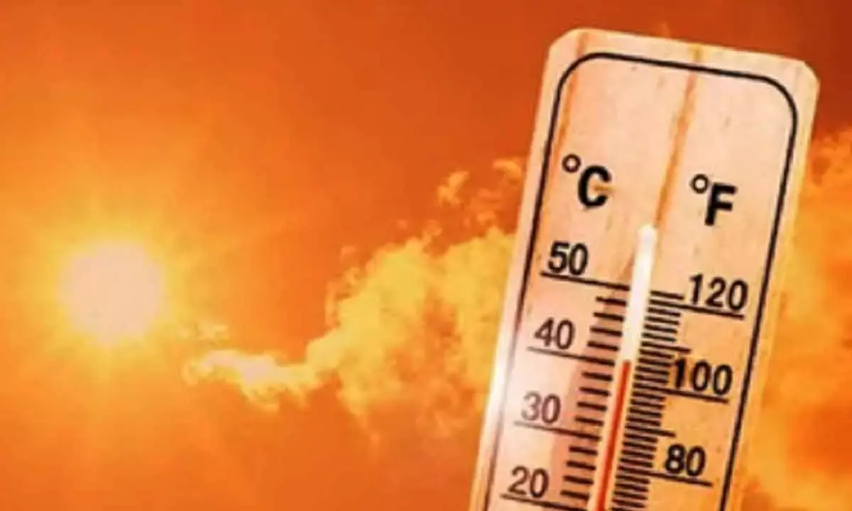 Cities At Max Risk As Climate Change Raises Heatwave Fatalities: Study