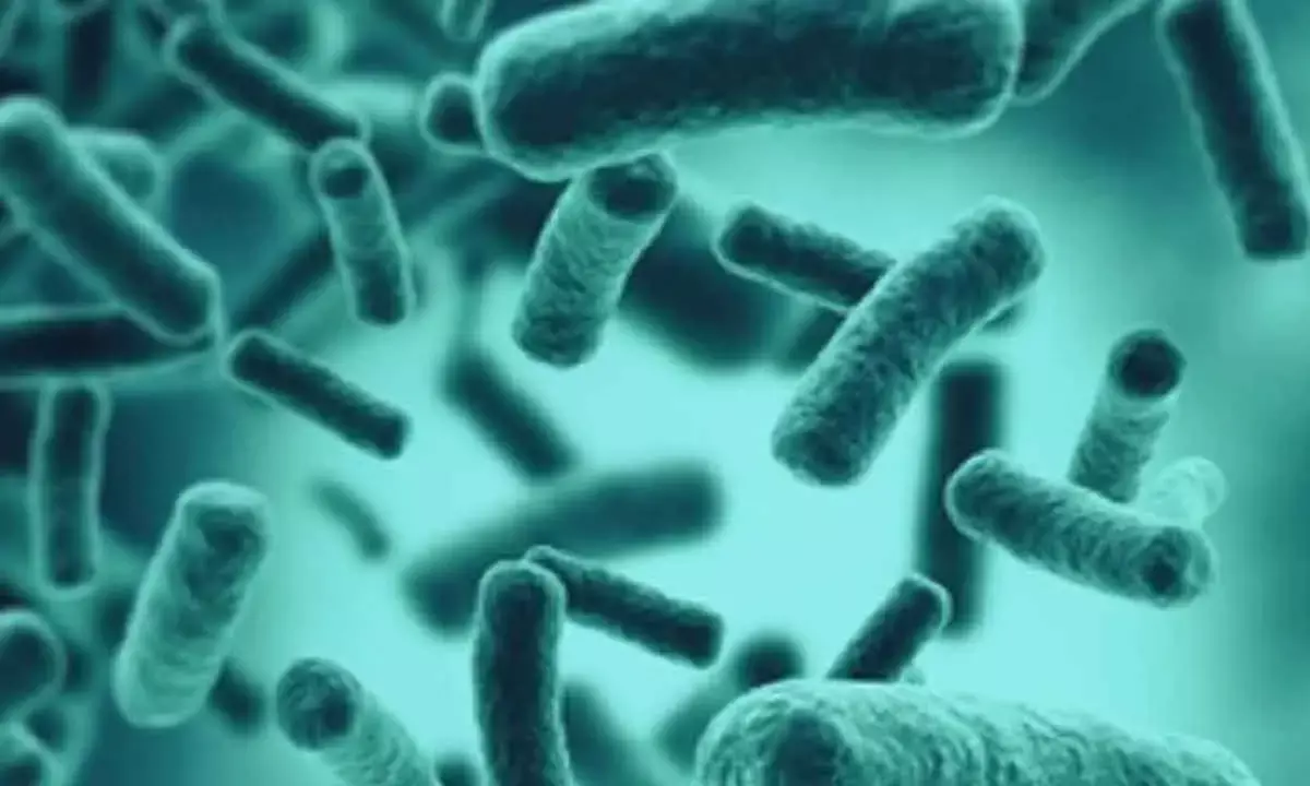 Swimming In Stagnant Lakes Can Cause Bacterial Pneumonia