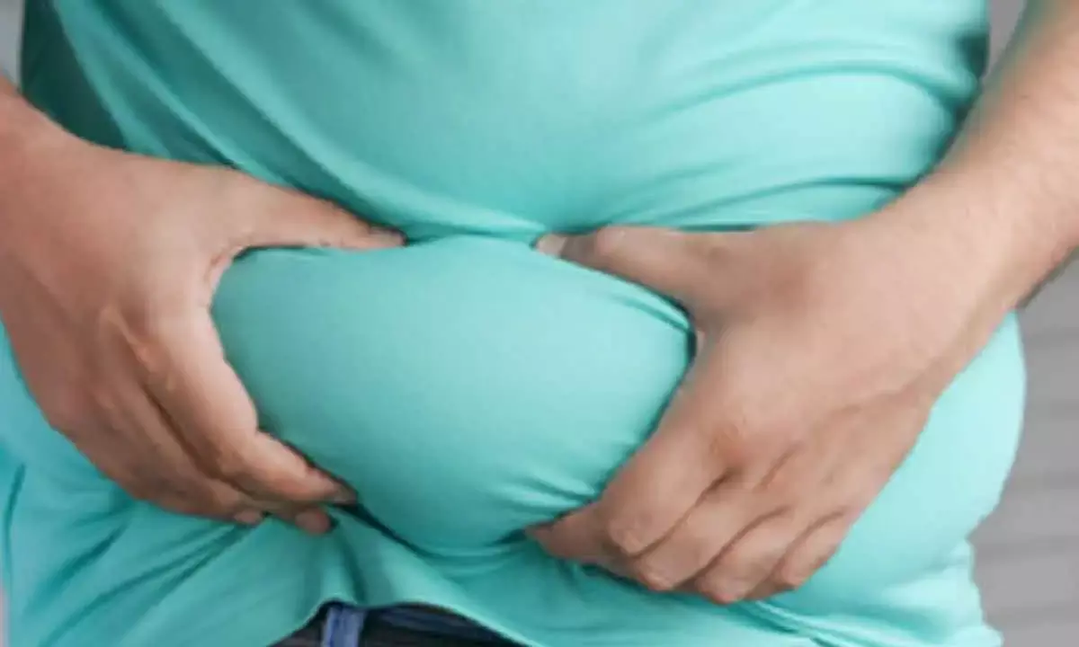 Study Finds New Subtypes Of Fat Cells