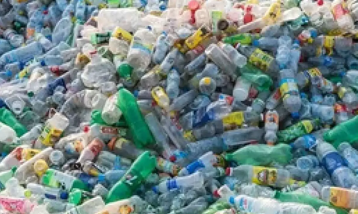 Call For Action To Reduce Burning Of Plastic In Developing Nations