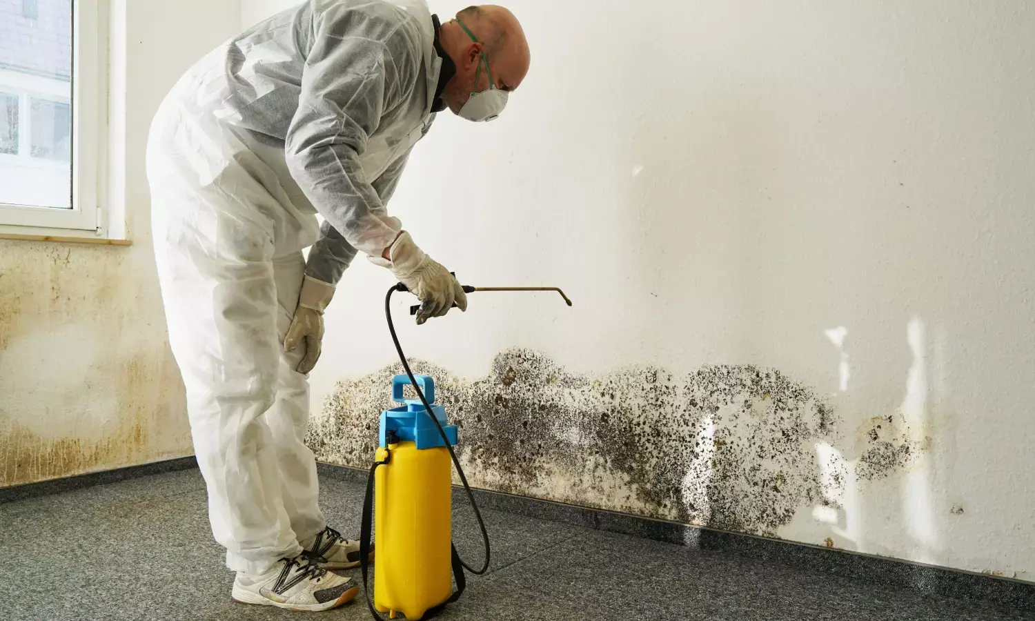 How to Hire a Mold Remediation Company