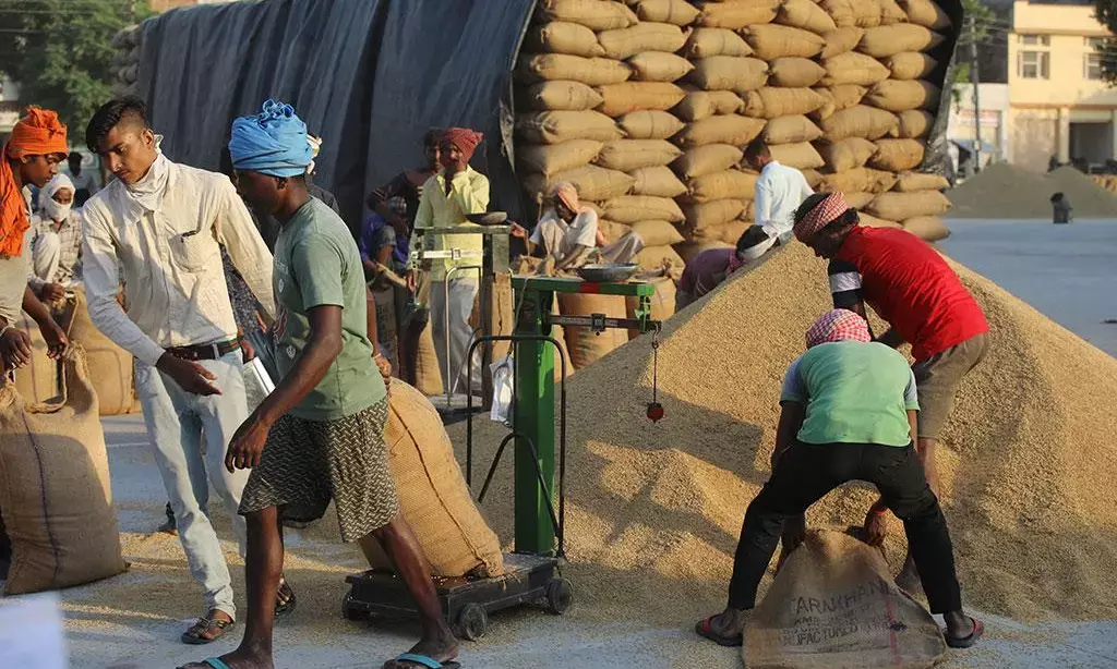 Govt tightens wheat stock limit for traders, retailers to keep prices under control