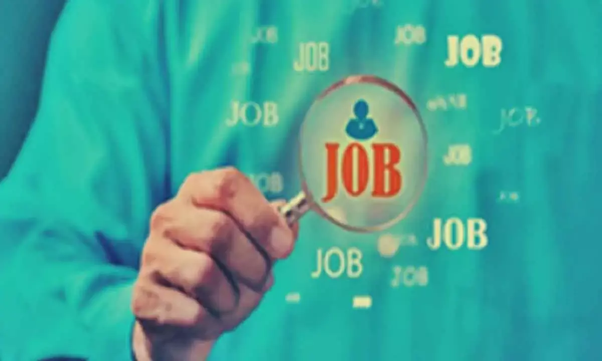 IT Sector Leads As Number Of Cos Hiring Freshers Rises