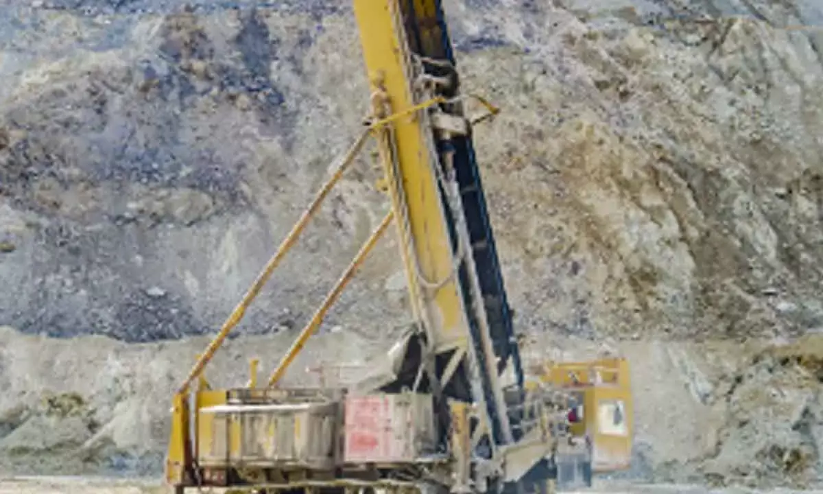 Govt To Put Max Number Of Critical Blocks On Auction