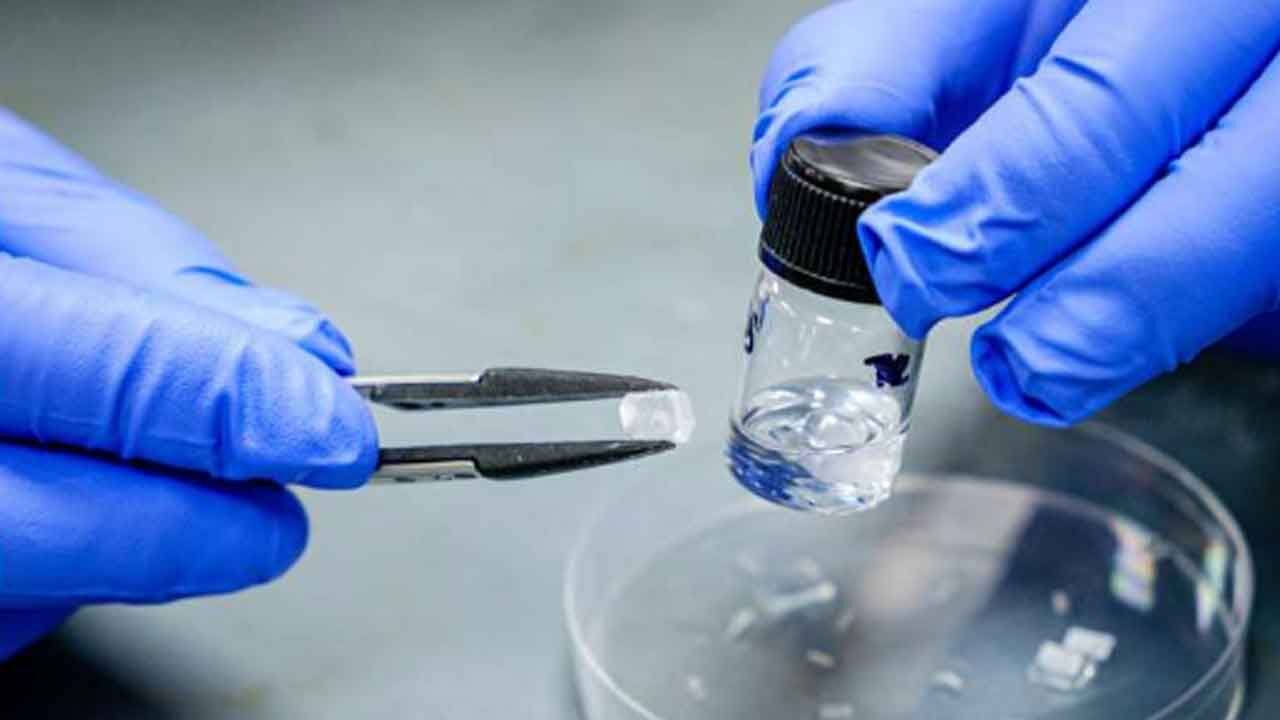 How Flexible Crystals Are Able To Bend Without Breaking?