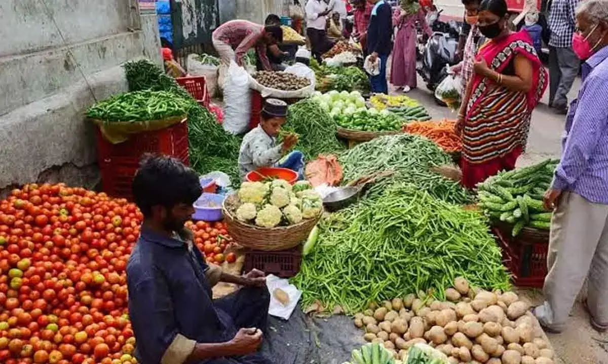 Tomato, Chilli Prices Stablised In Andhra
