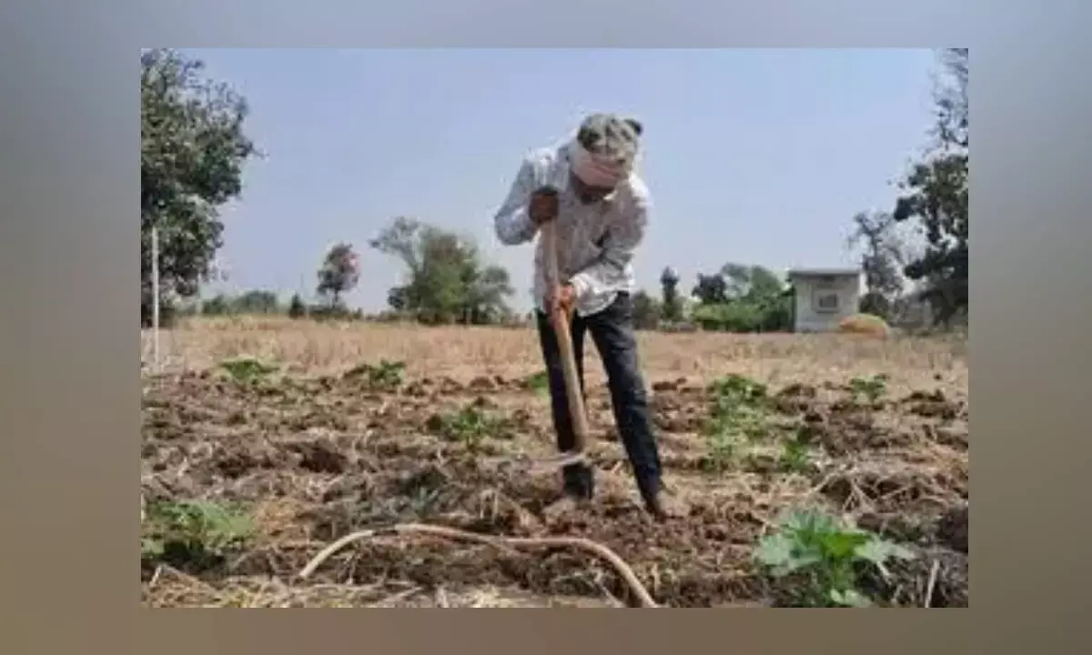 Retail inflation for farm, rural workers eases in Jan