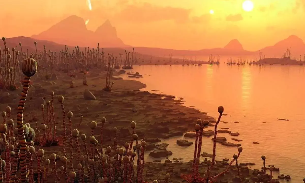 How Earth’s tough organisms are guiding the search for aliens