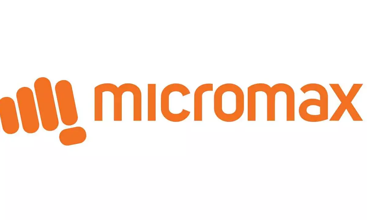 Micromax Makes Foray Into Renewable Energy Space