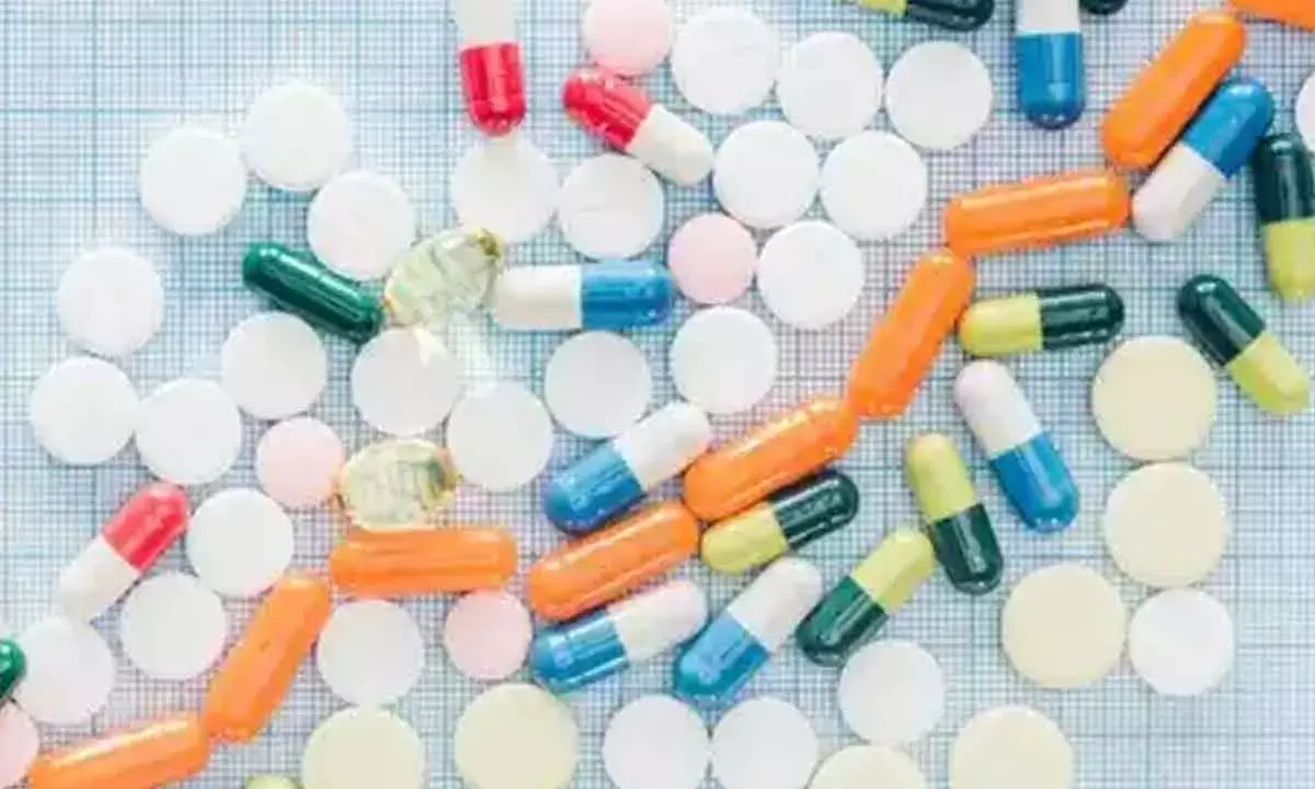 Indian API market to expand to $22 bn by 2030, at a CAGR of 8.3 pc: Report