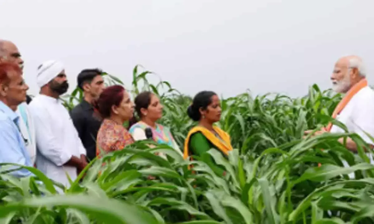 Centre sets up 10K FPOs To Boost Agri Production