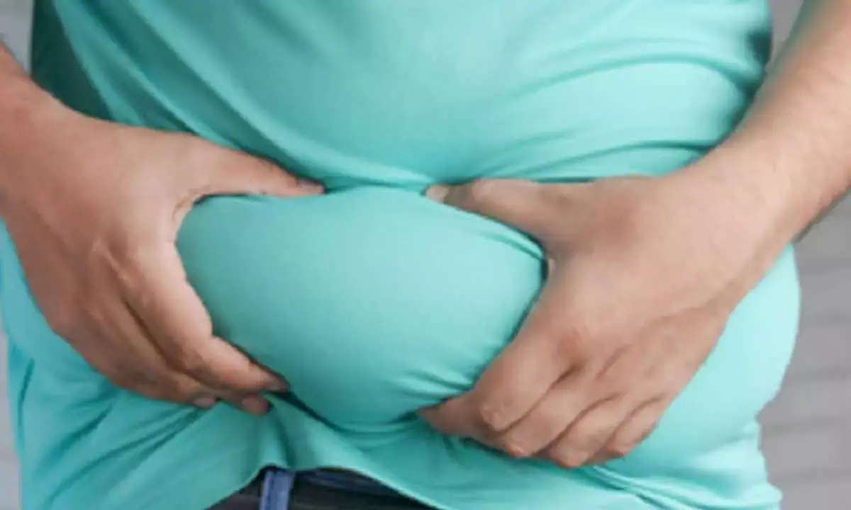 How Brain Plays Central Role In Development Of Obesity