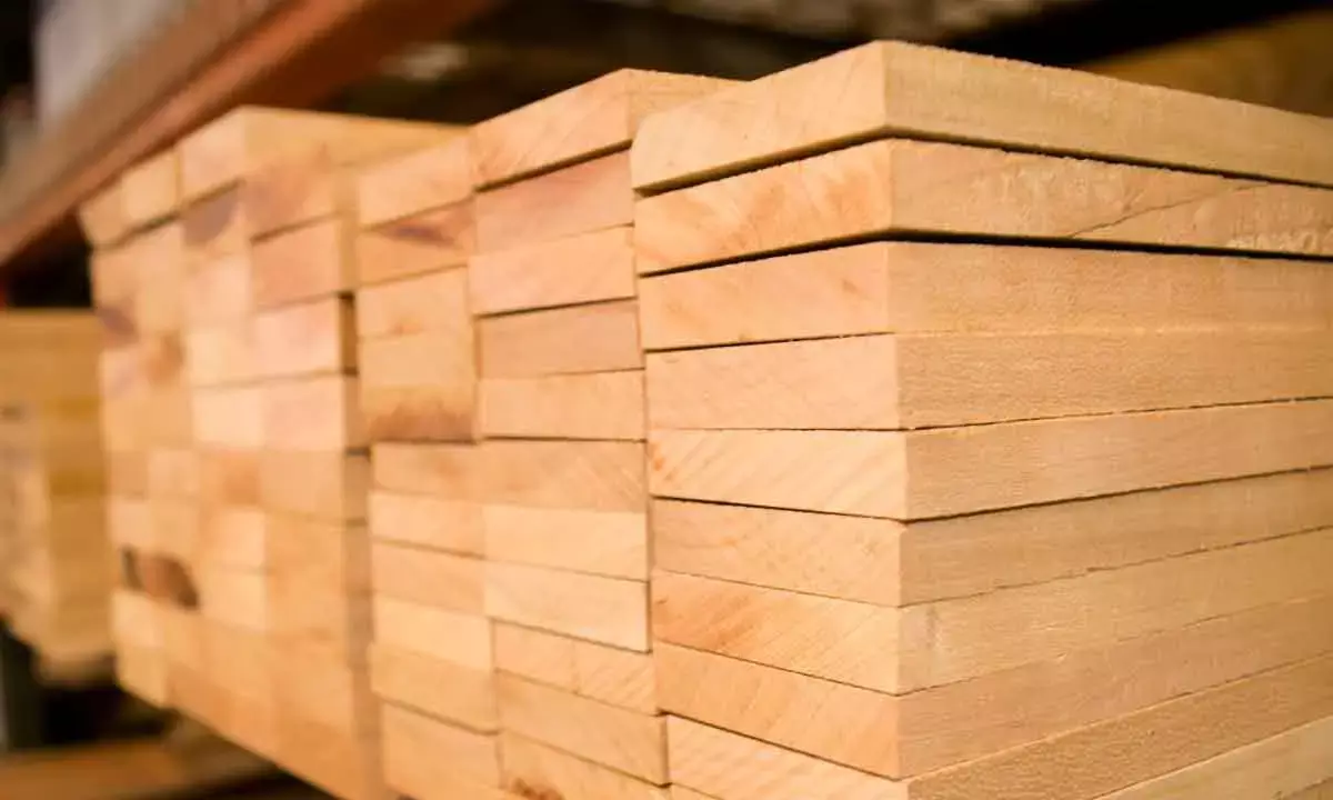 Trump Orders National Security Impact Probe On Lumber Imports