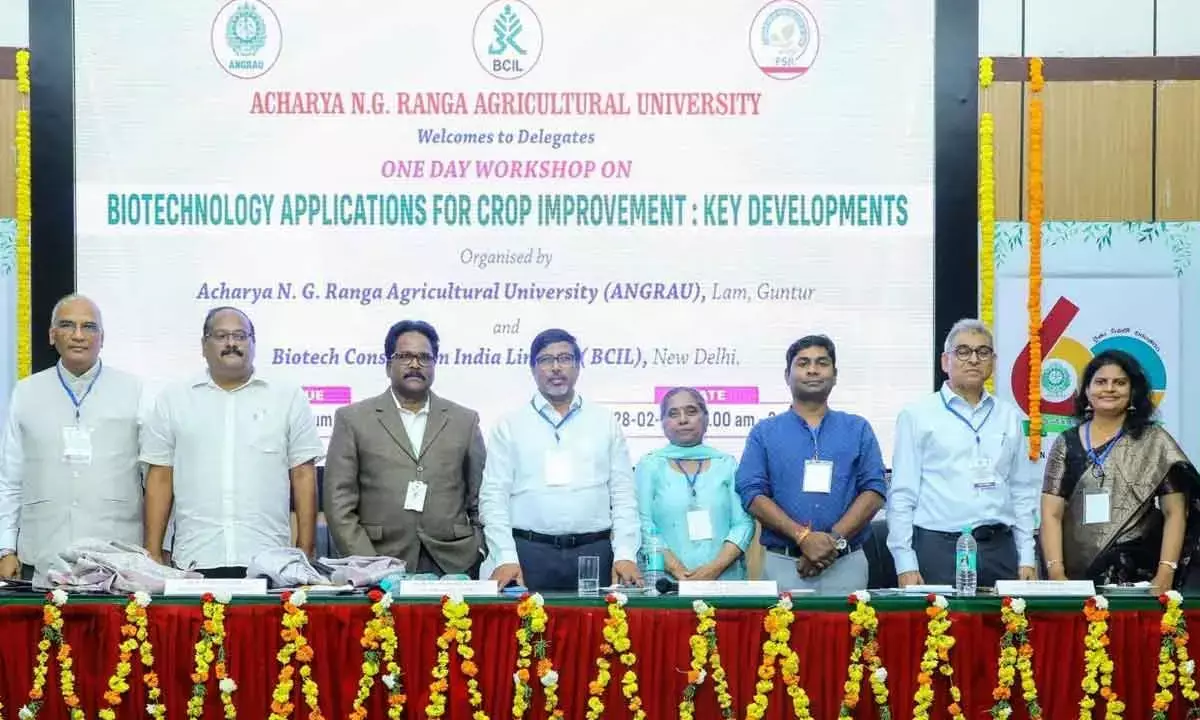 Experts Hail Biotech As Key Driver Of AP’s Agri Success