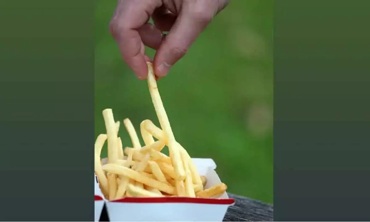 Wave Group, Agristo to invest Rs 750 Cr In UP