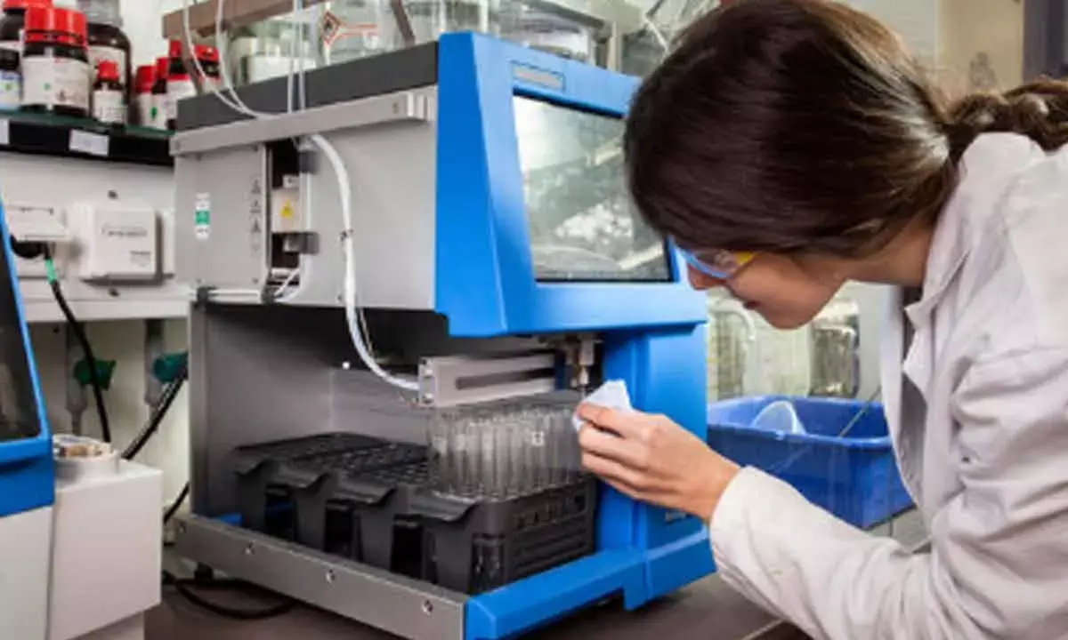 Indian API Market To Expand To $22 Bn By 2030: Report