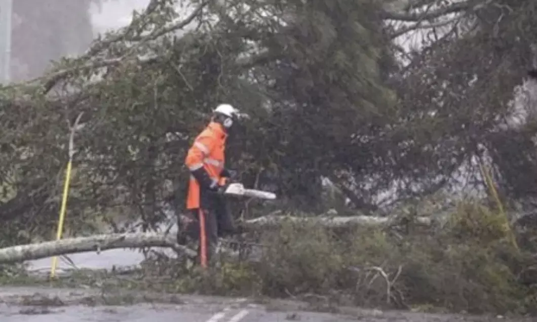 Cyclone Alfred threatens Australia: Schools shut, transport disrupted