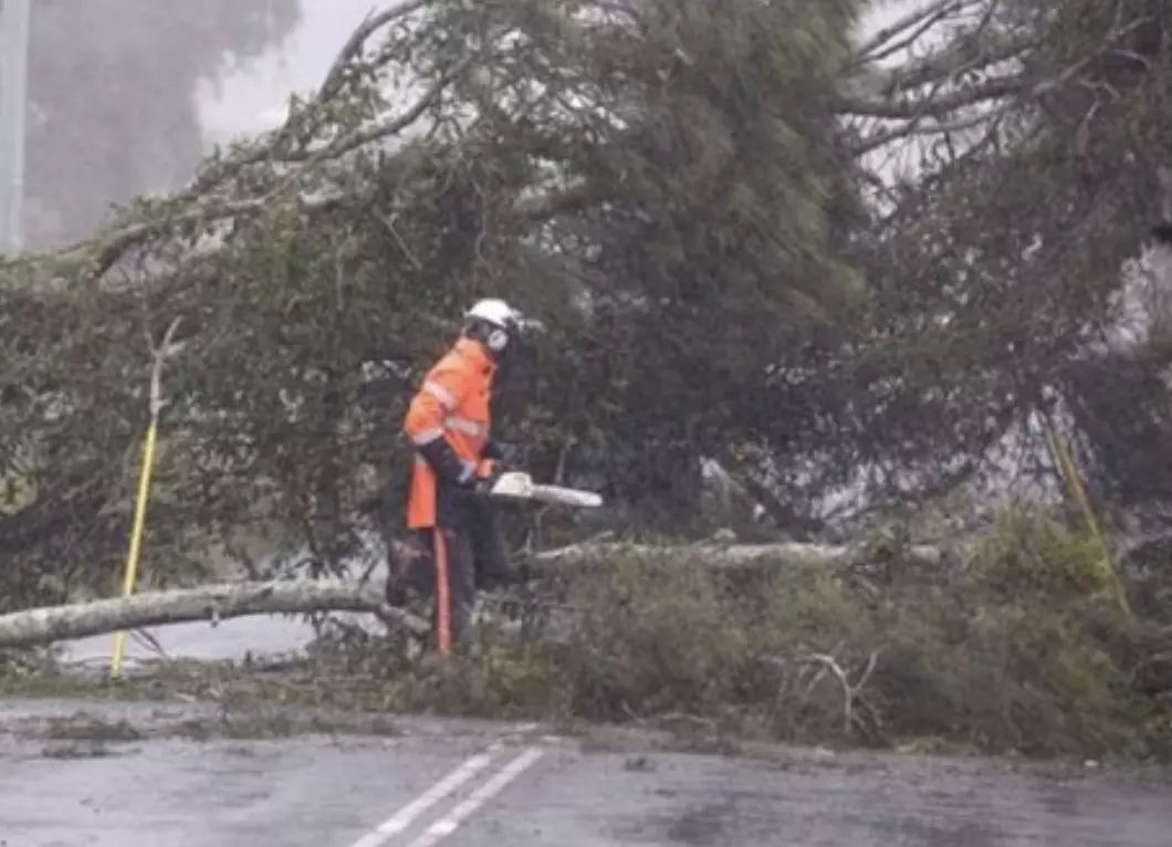 Cyclone Alfred threatens Australia: Schools shut, transport disrupted Cyclone Alfred threatens Australia: Schools shut, transport disrupted