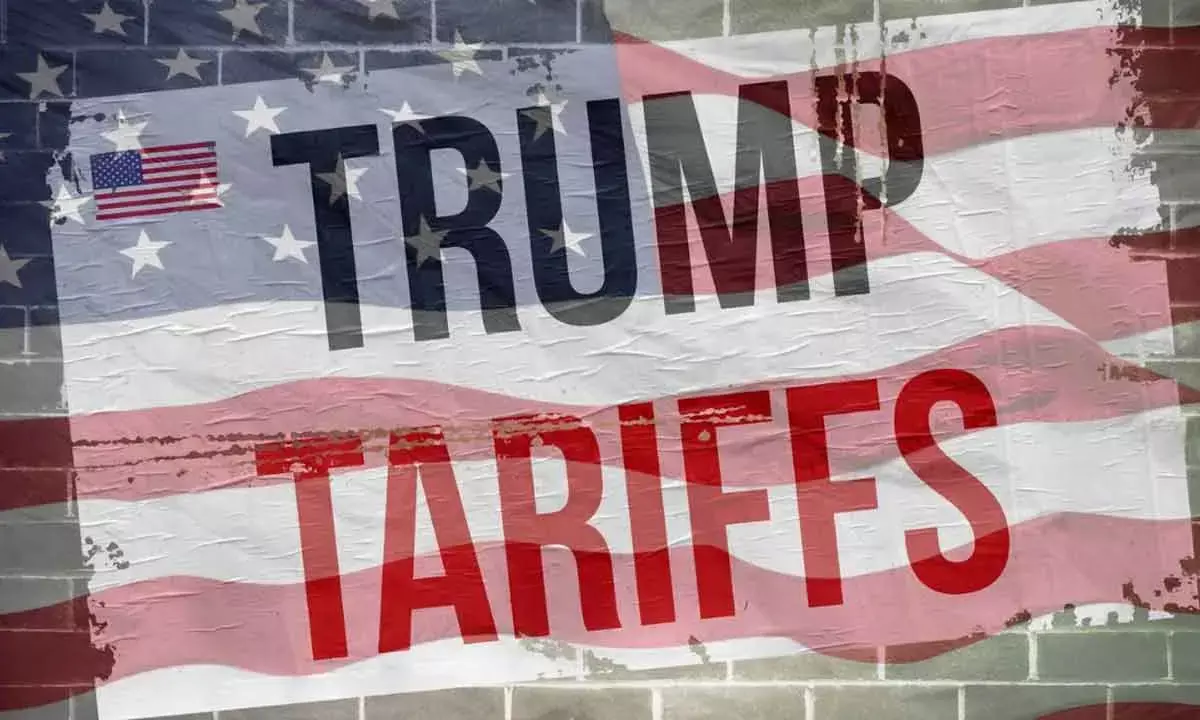 India Should Reinvent Agriculture Sector To Counter Tariff Threats And Trade Challenges