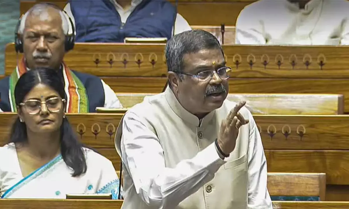 LS Proceedings Disrupted As DMK Protests Over Pradhans Remarks