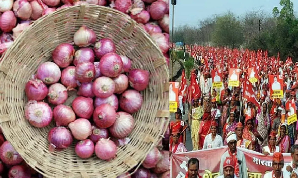 Onion auctions start at Nashik after protests