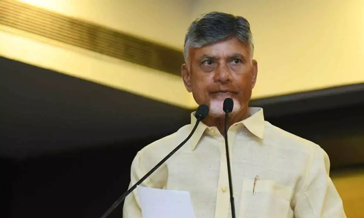 Violation Of Law And Order Will Be Dealt With Seriously: Naidu