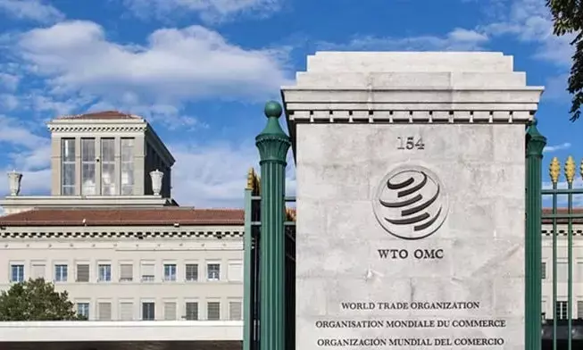 Trade policy uncertainty, new tariffs could weigh on global trade: WTO