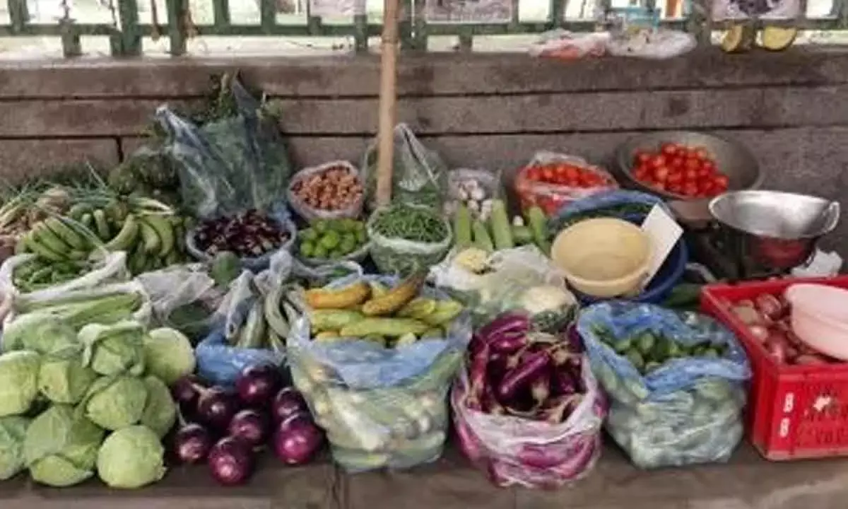 Retail Inflation Falls Below RBI’s Target