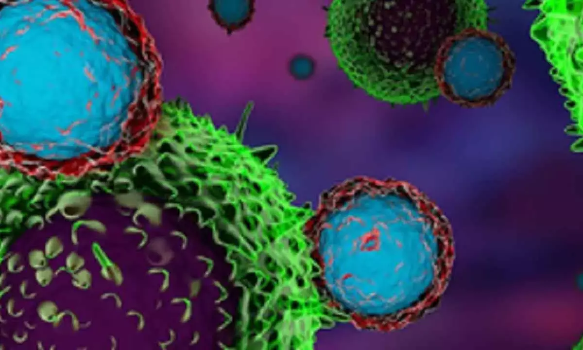 Scientists Hit Upon New Antibody To Fight Stubborn Cancers