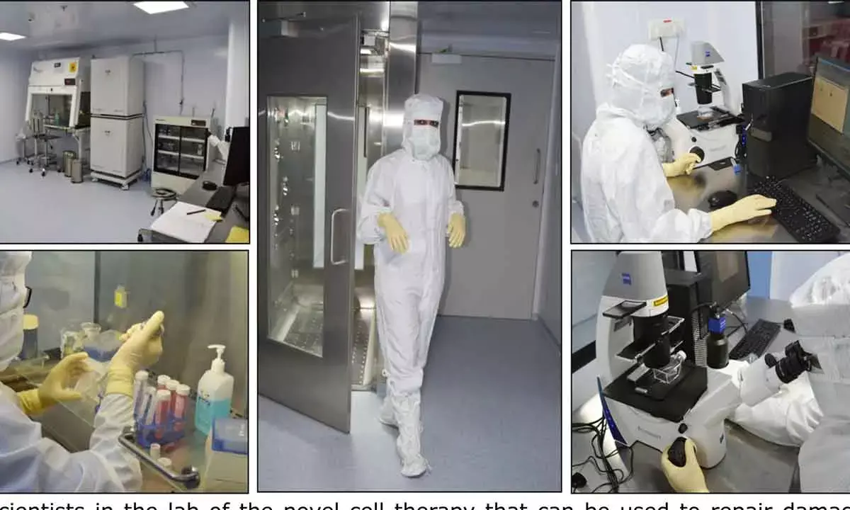 LVPEI Receives Aus Patent For Novel Cell Therapy