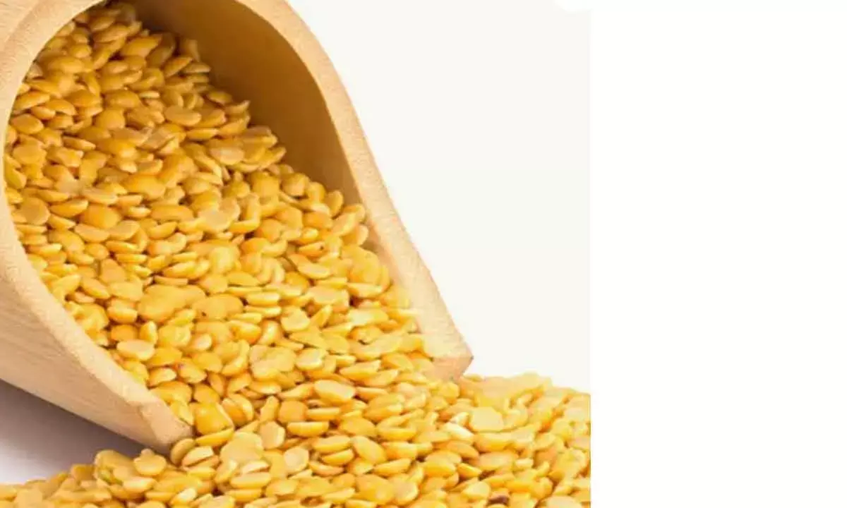 Tur Procurement At MSP Runs Over 1.3L Tonne