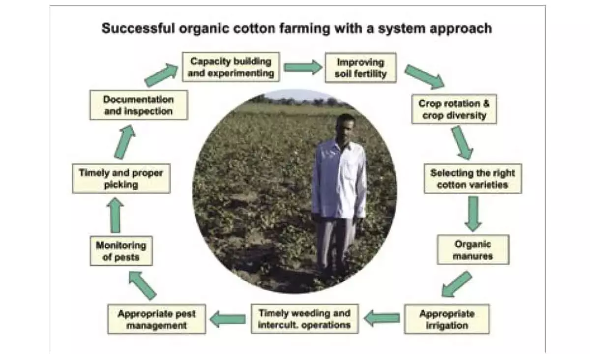 ‘Dalal Farming’ Can Chart A New Environ-Friendly Route For Cotton Farmers And Liberate Them From Cotton ‘Curse’
