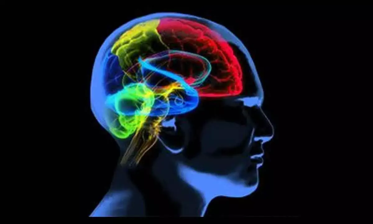 New AI-based Tool To Help Prevent Alzheimer’s: Study