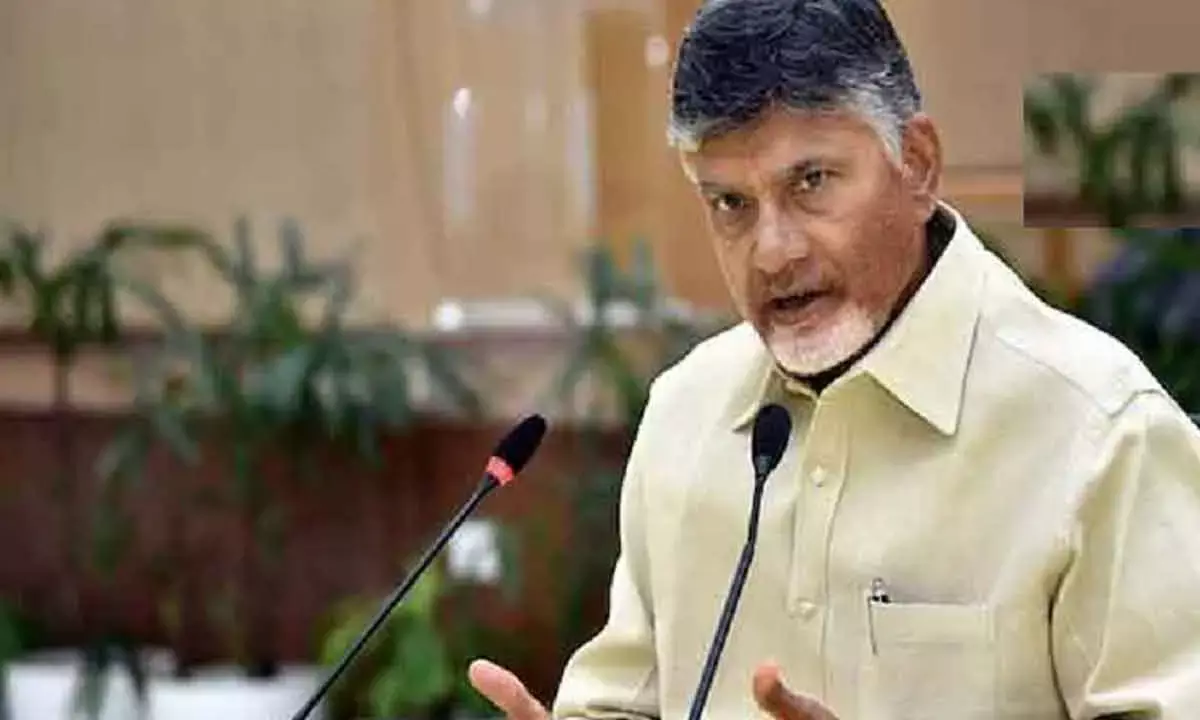 Naidu Moots Swarnandhra Vision For Each Constituency