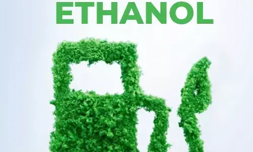 20% ethanol-blended petrol: No major issues with vehicle performance, says govt