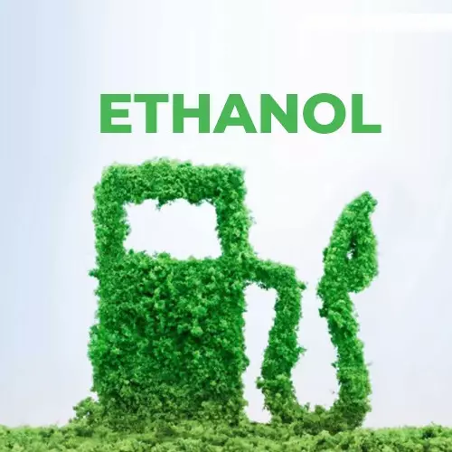 20% ethanol-blended petrol: No major issues with vehicle performance, says govt