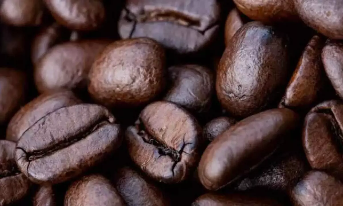 Indias Coffee Exports Surge 40% To Surpass $1.54 Bn In April-Feb
